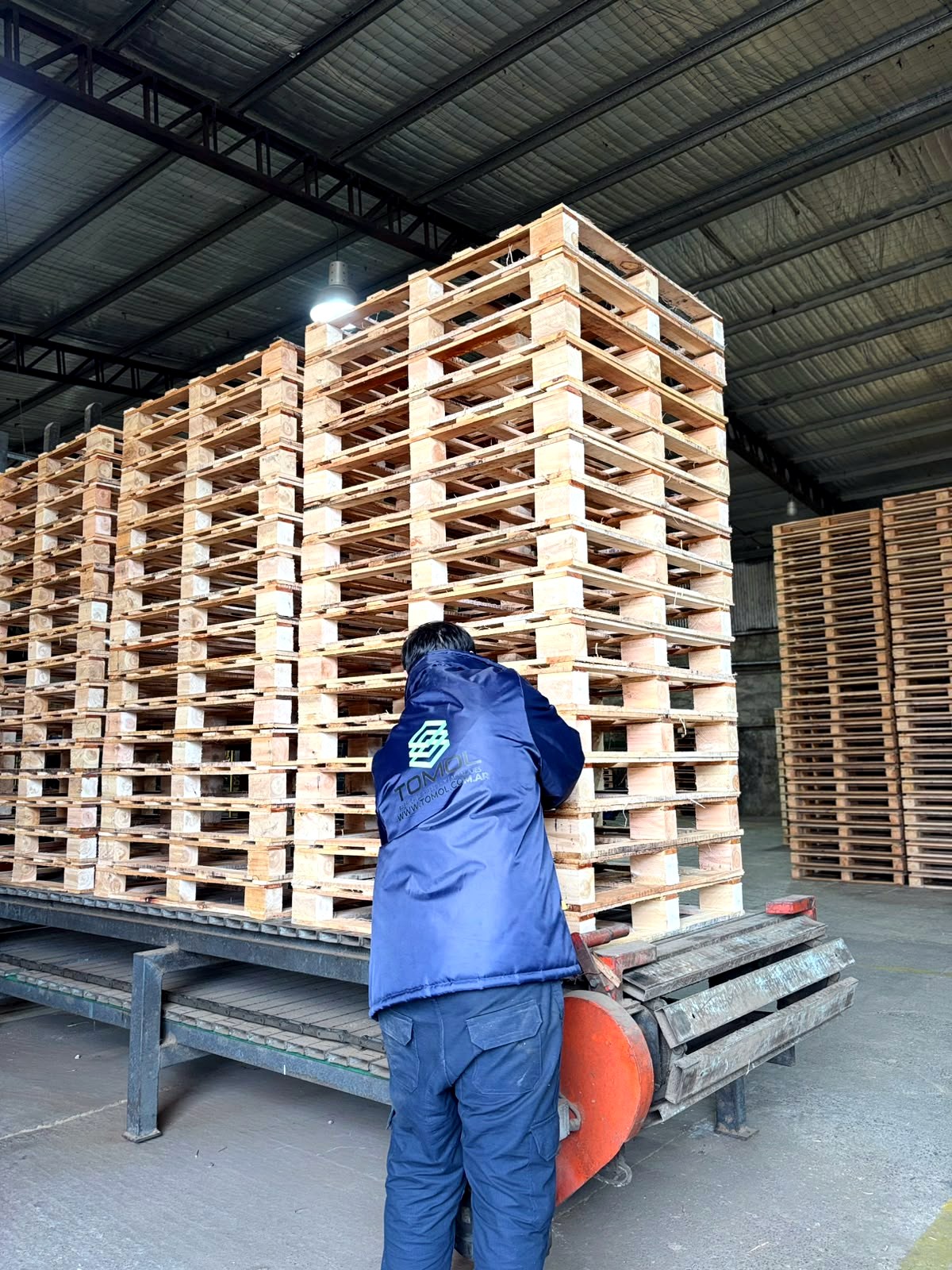 Operario de Tomol en la línea de producción